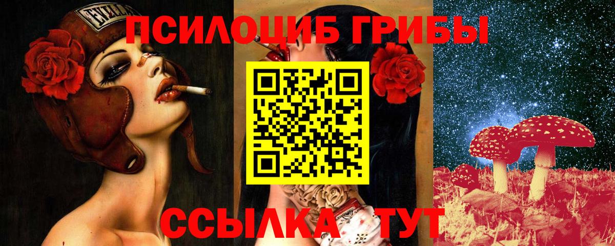 Галлюциногенные грибы мухоморы Курчатов